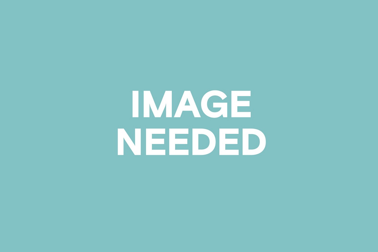 TEST ALT TEXT