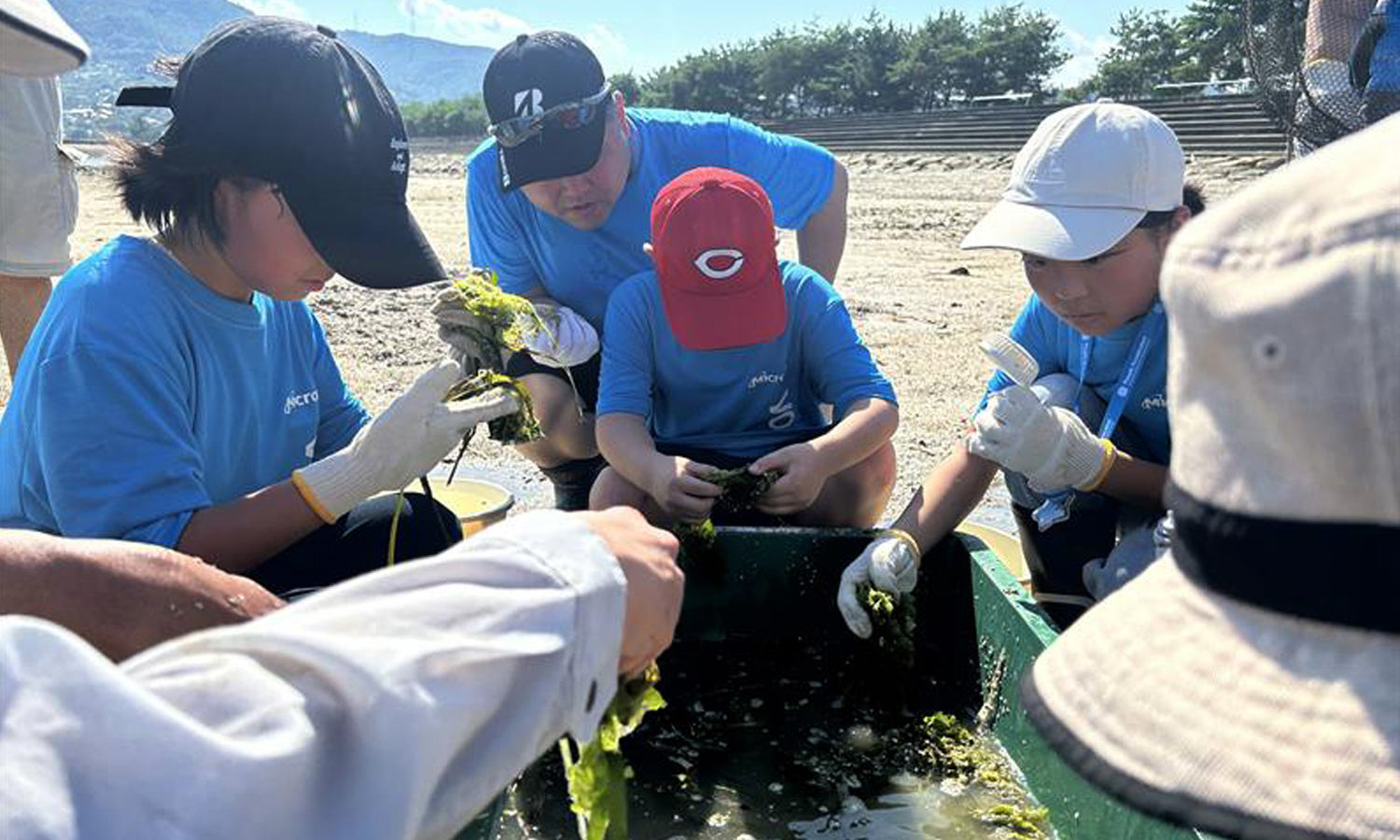 micron sustainability